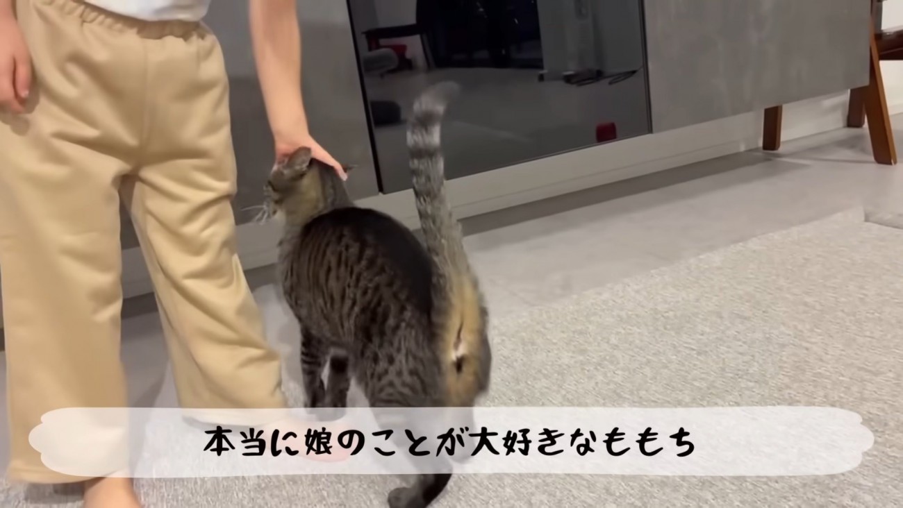 テロップ「本当に娘のことが～」