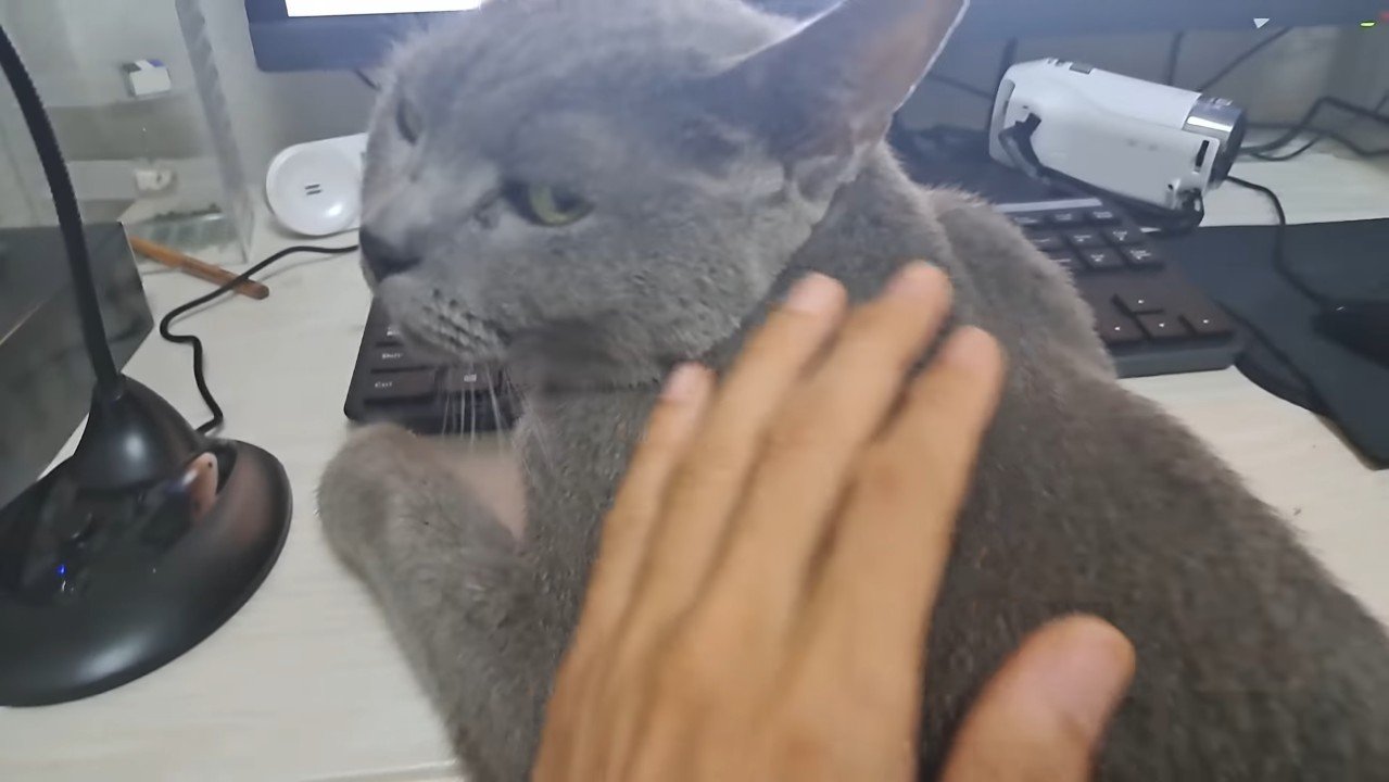 振り向くすずまろくん