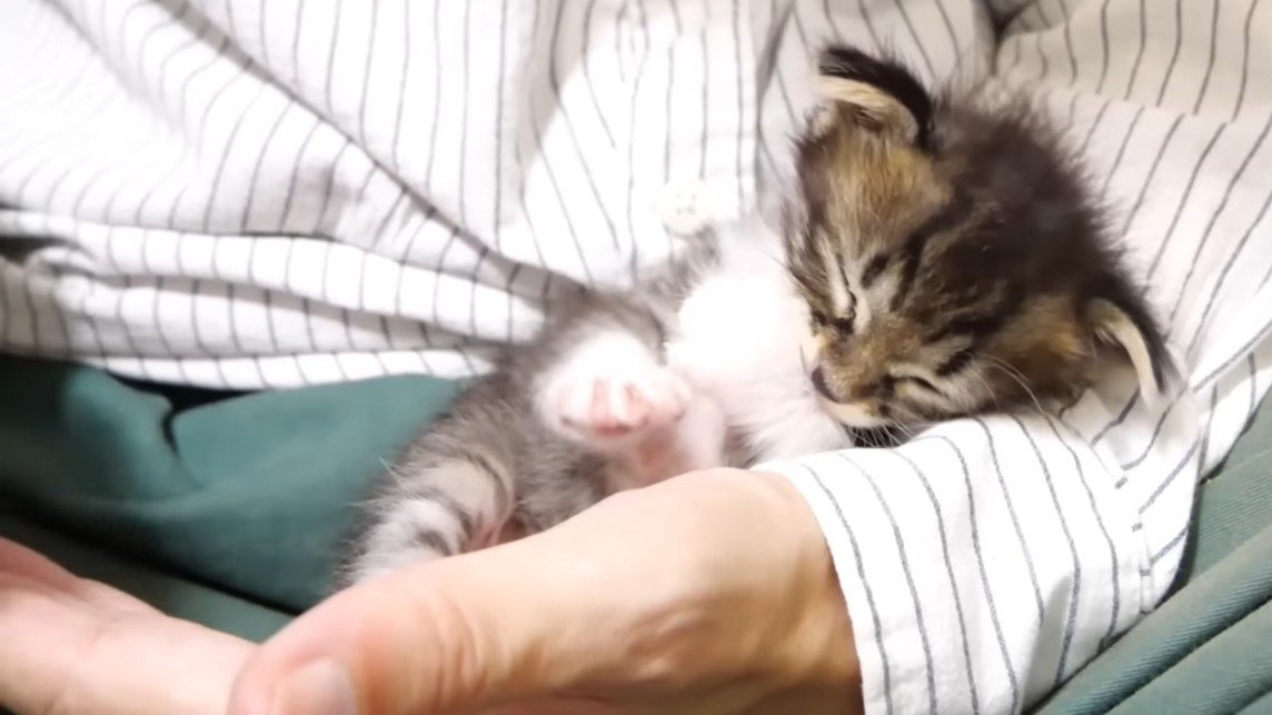 手の中に収まって