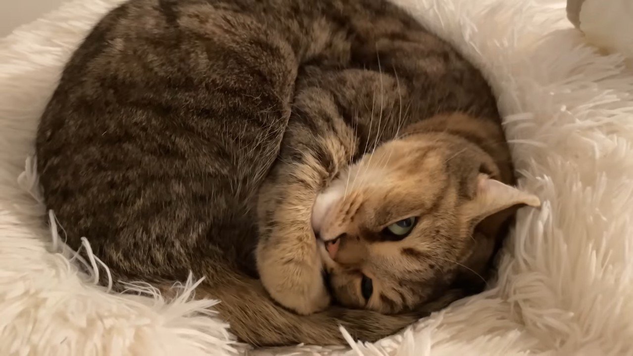 少し目を開けて