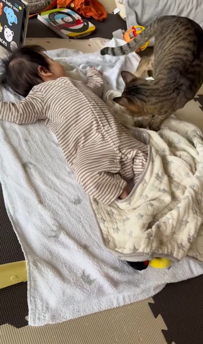 寝ている赤ちゃんのそばにきて様子をうかがう猫