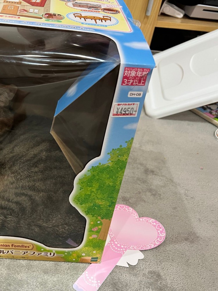 おもちゃの箱の中に見える猫の姿の一部