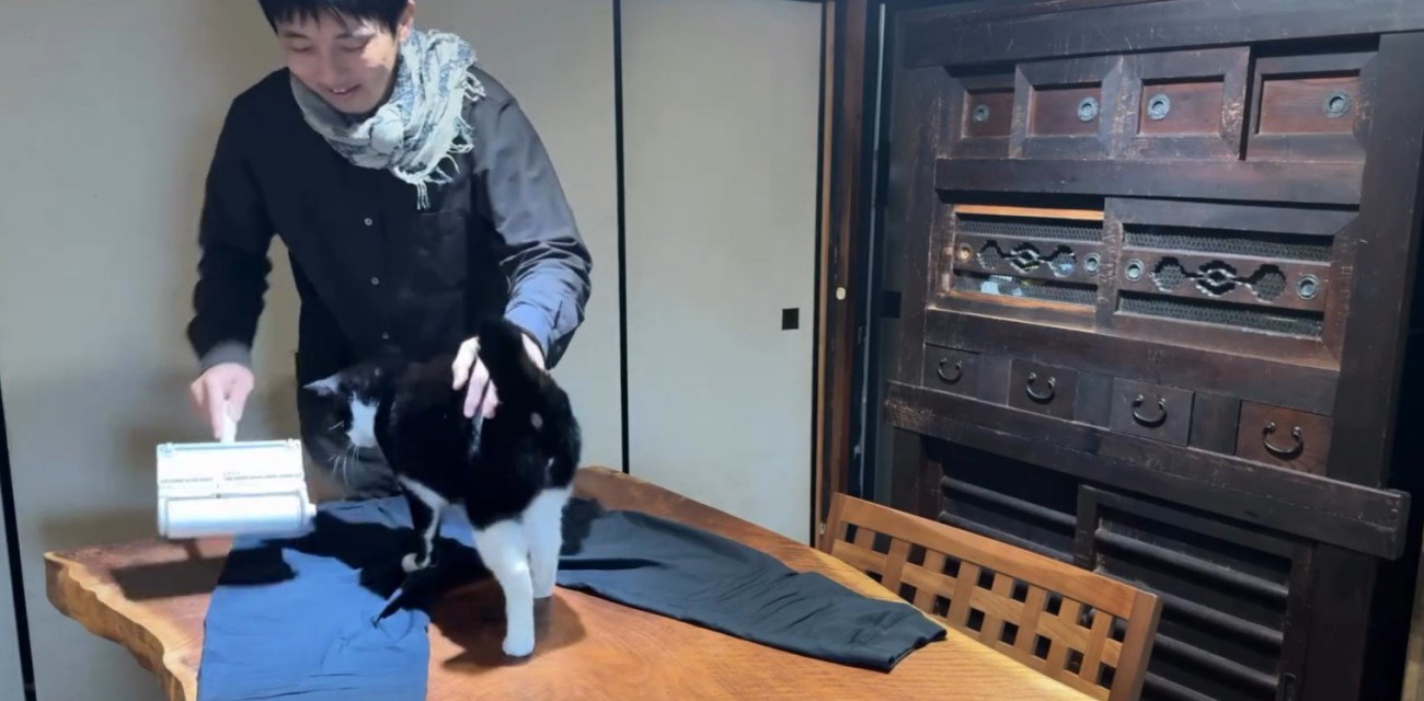 服の毛を取る飼い主と猫