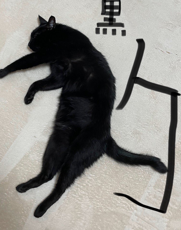 床に寝そべる猫と、写真に書かれた手書き文字