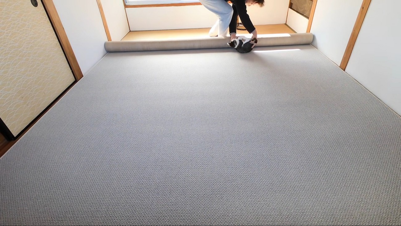 カーペット設置の様子（画面奥手にパパさんと猫ちゃん）
