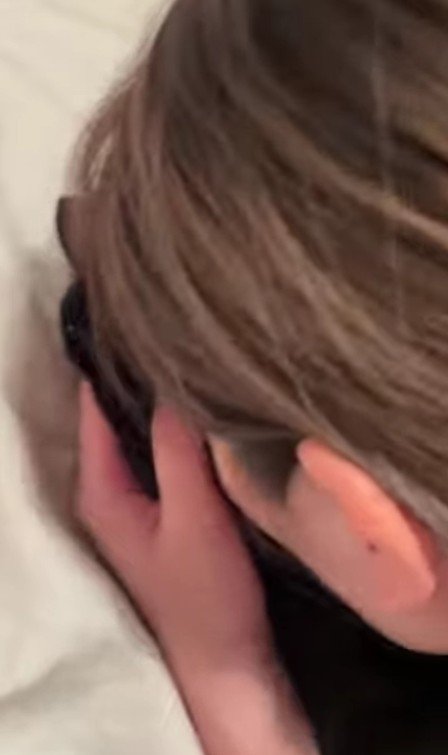 猫のおなかに顔をうずめる女性