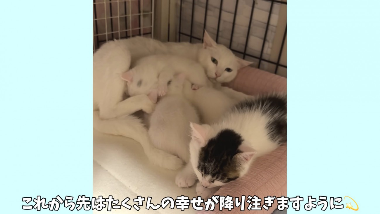 テロップ「これから先は～」