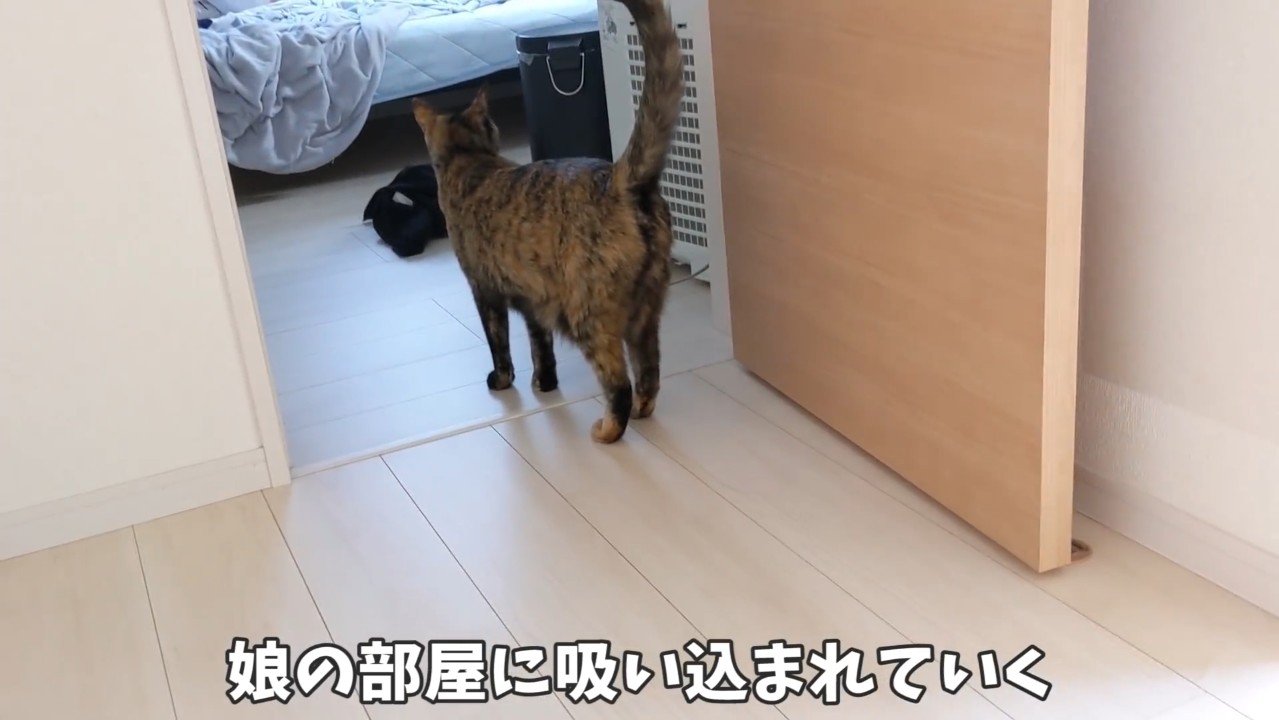 部屋に吸い込まれて