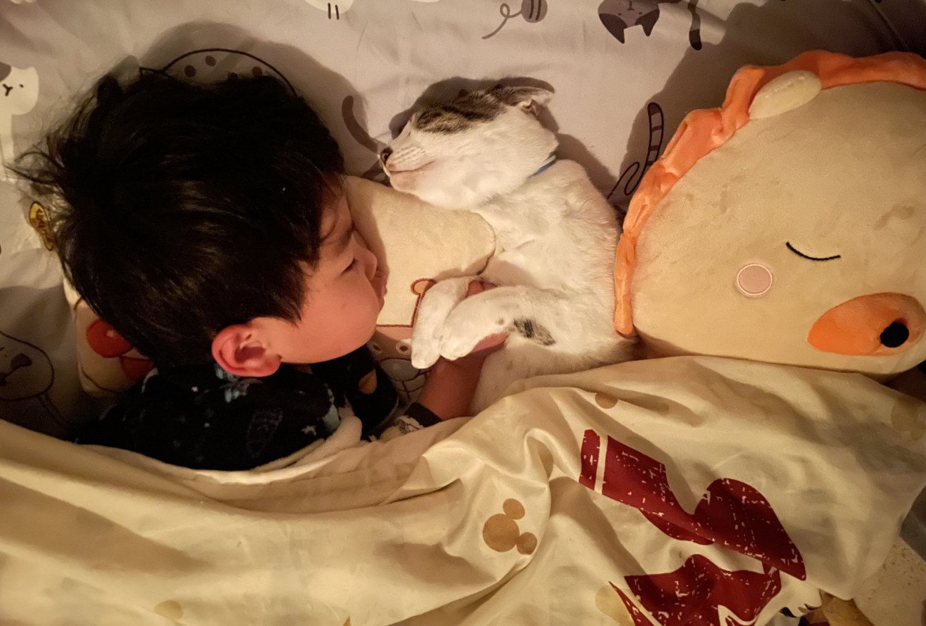 猫と寝る男の子