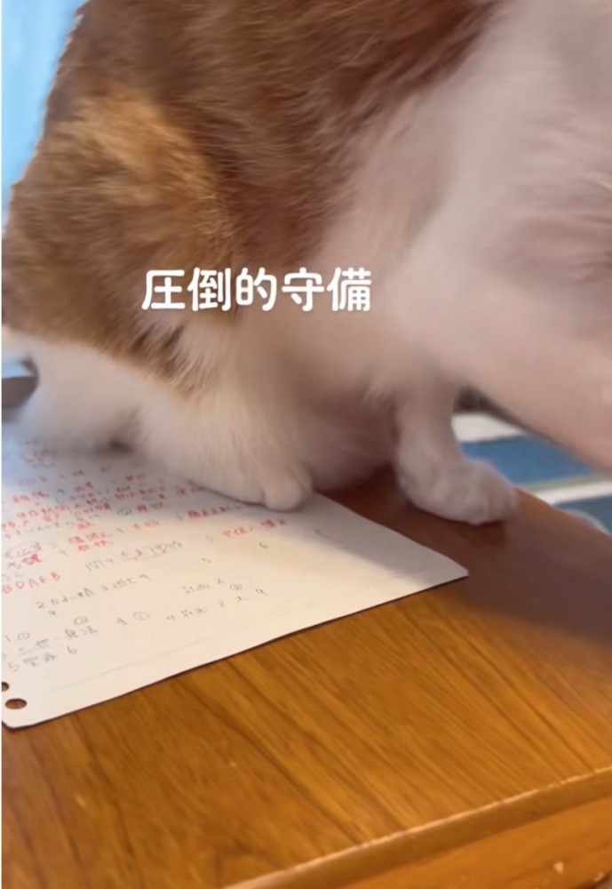 前足で手を退ける猫