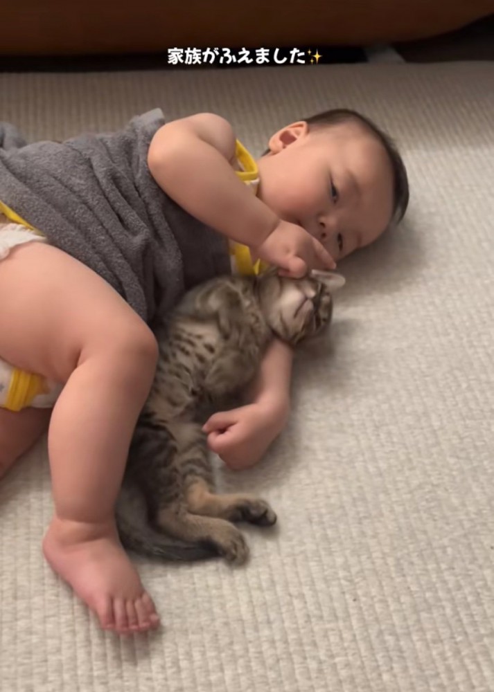 猫を抱きしめる赤ちゃん