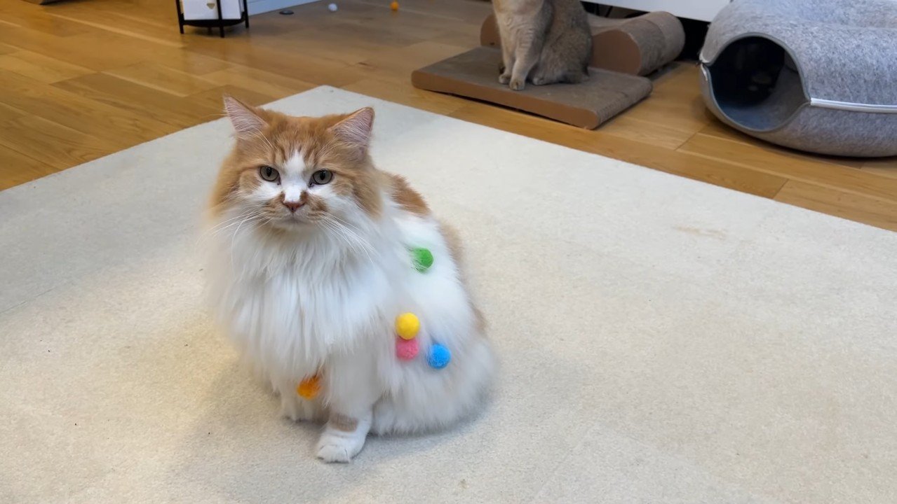 こちらを見るぽてちくん