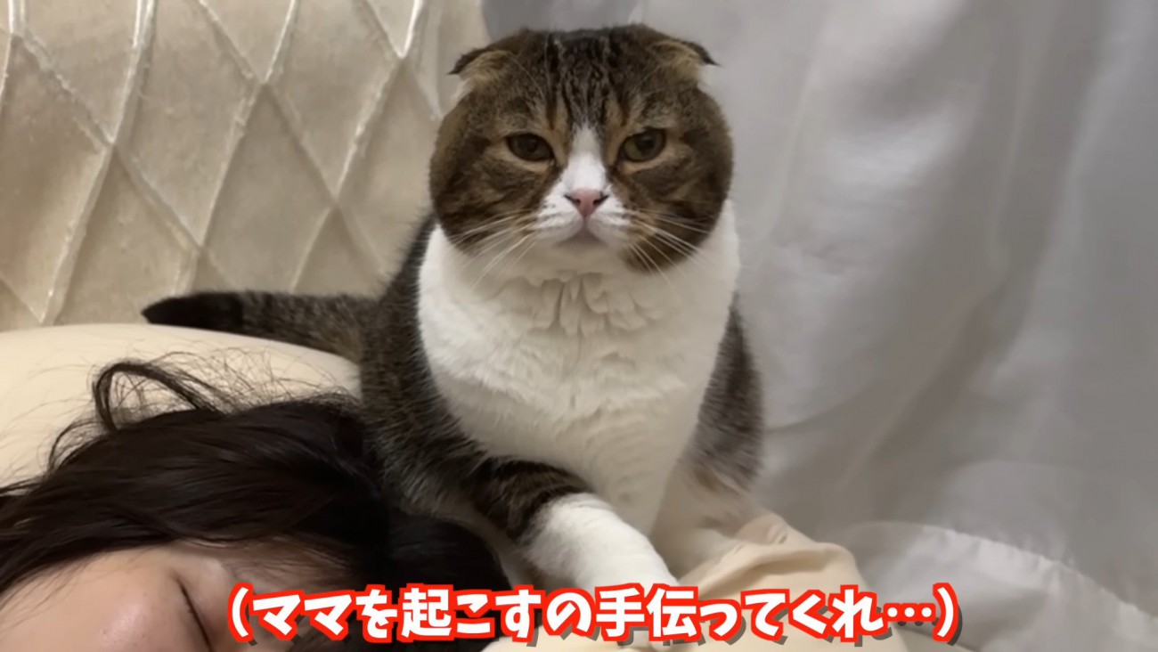 かわいく見つめるぽこ太郎くん