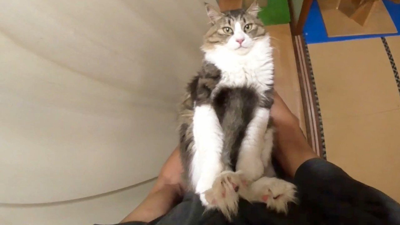 こちらを向いて