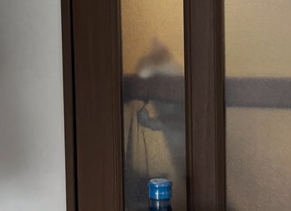 ネットに足をかける猫