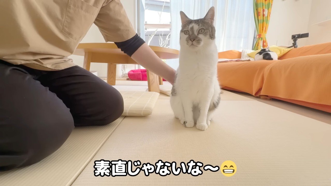 素直じゃないな〜