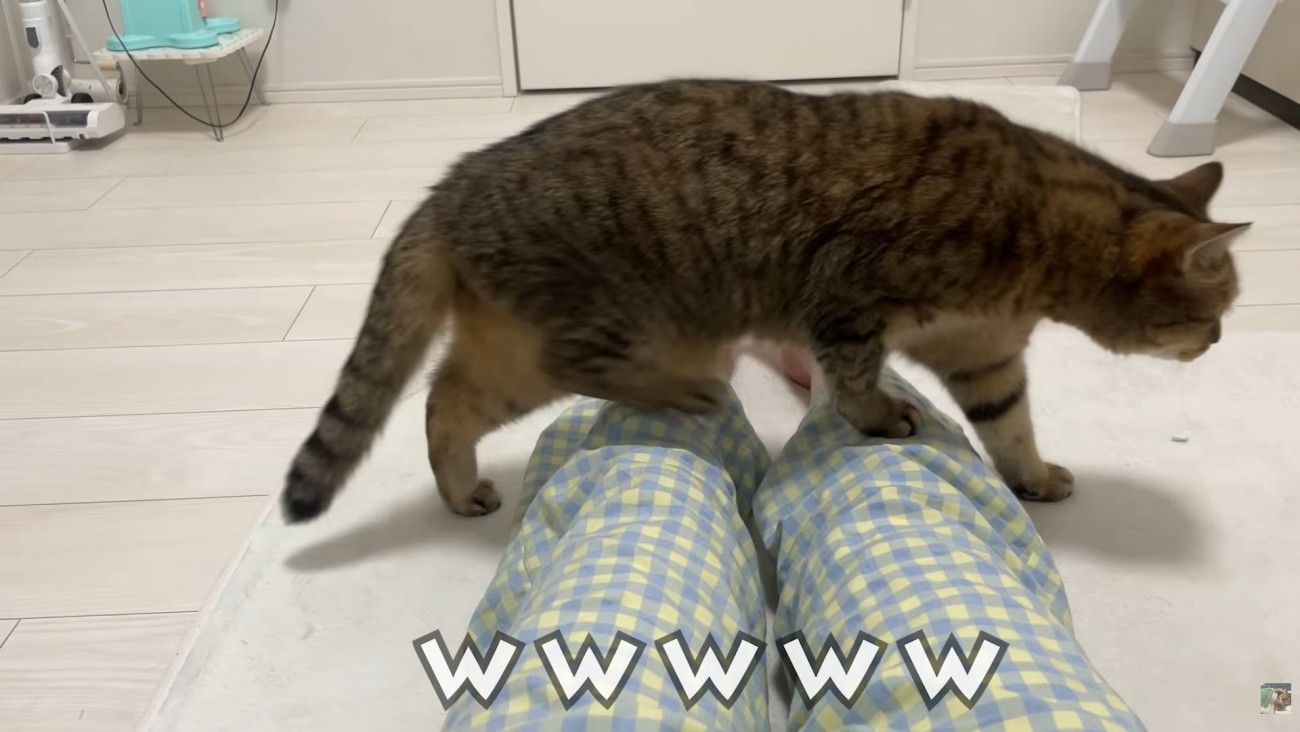 テロップ「ｗｗｗｗｗ」
