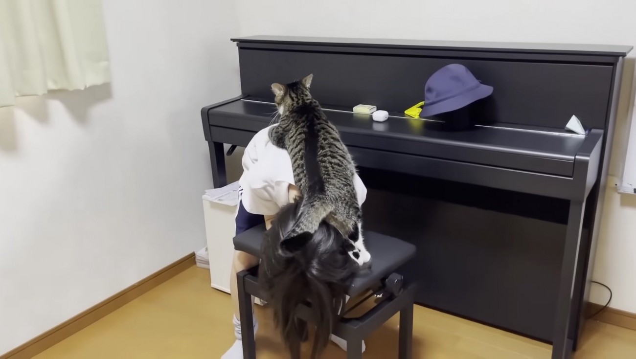 ピアノの前で娘さんに乗るおでこちゃん