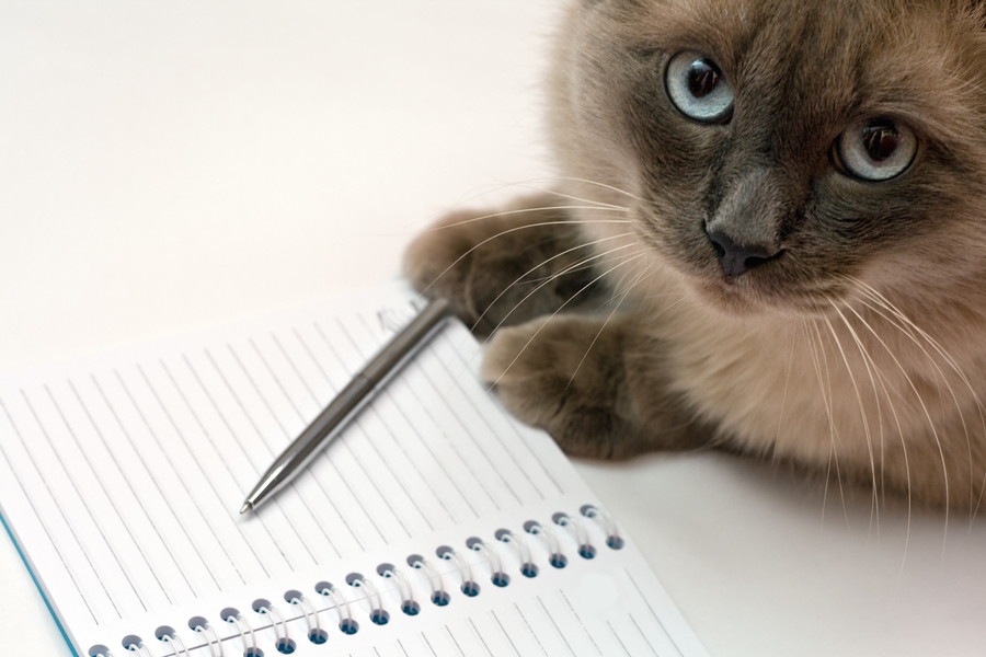 愛猫との思い出作りに！願いを叶えてくれる『#withlist』キャンペーンに応募してみよう