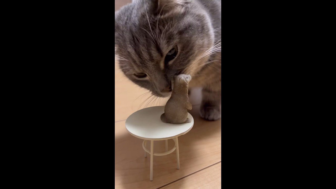 鼻でタッチ