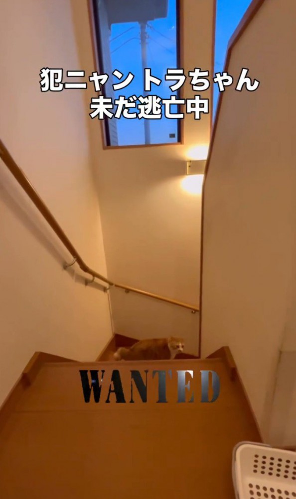 WANTEDと書かれた写真