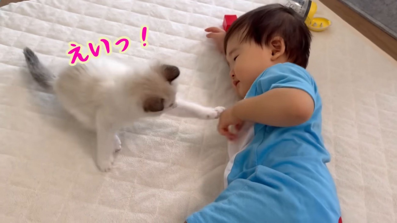 テロップ「えいっ！」