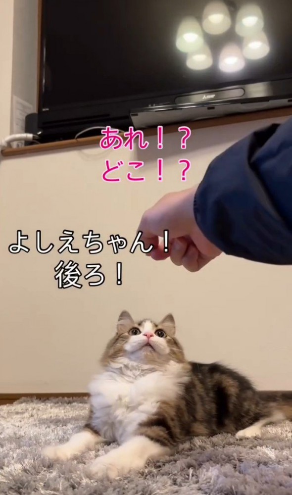 「よしえちゃん、後ろ」と書かれた写真1