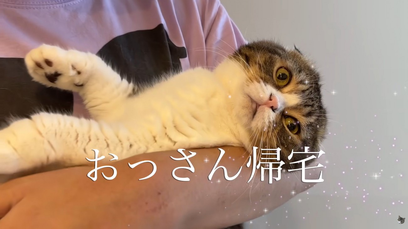 テロップ「おっさん帰宅」