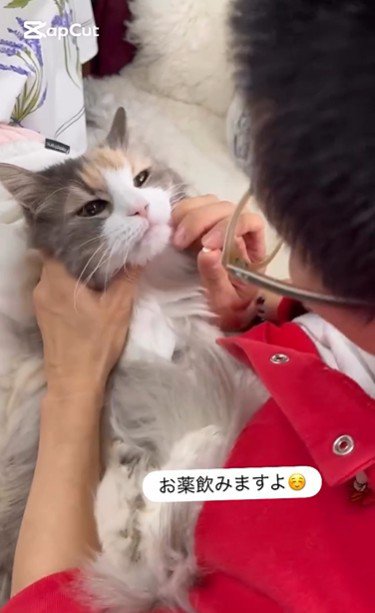 飲み薬を持っている人と抱かれている猫