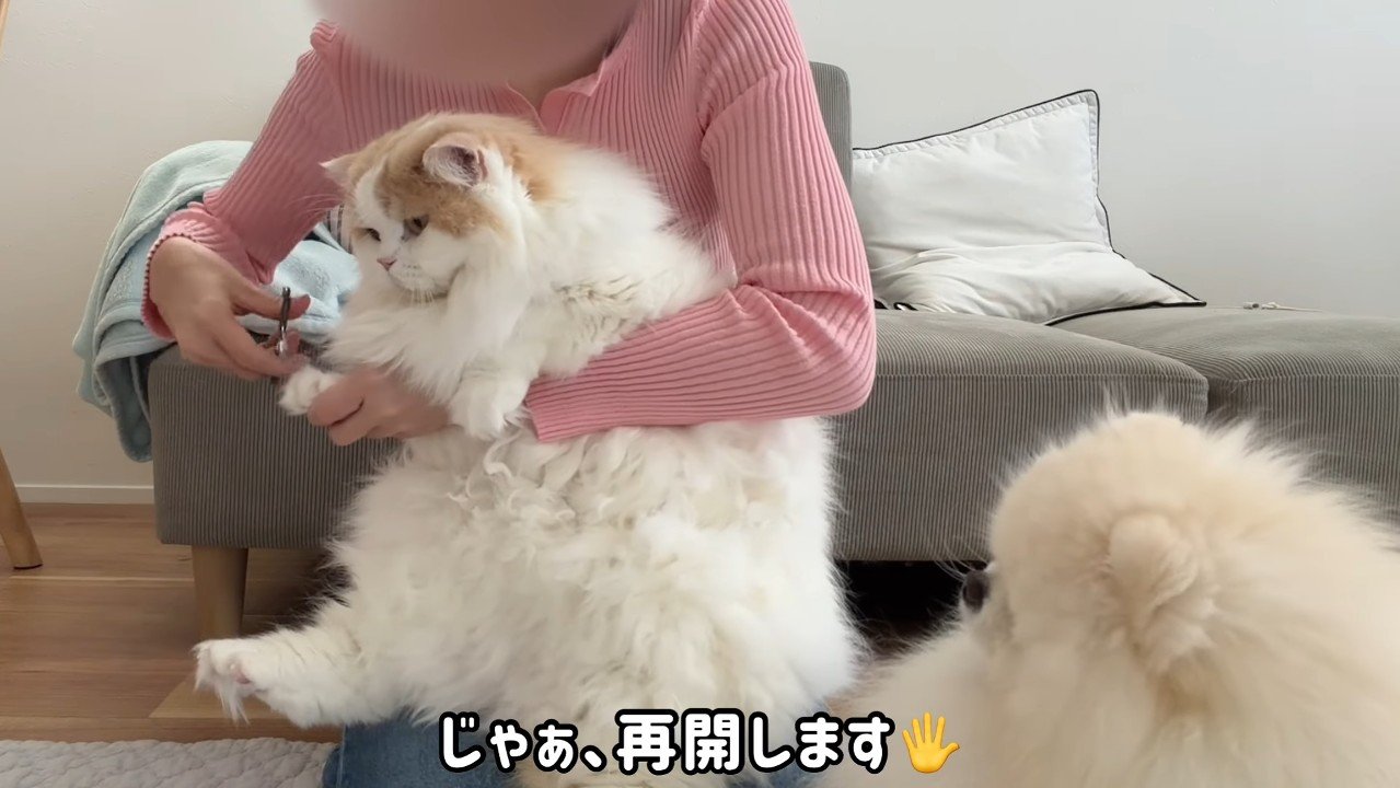 再開します