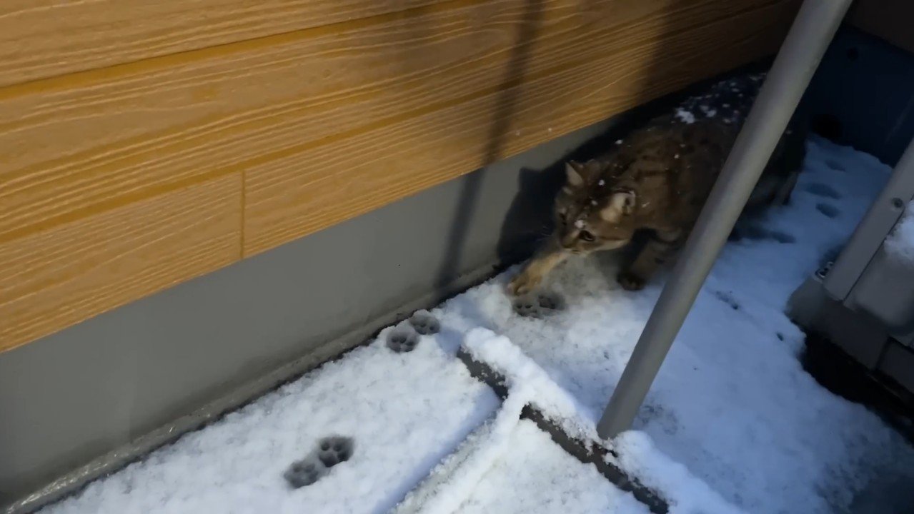 雪の上を歩いて