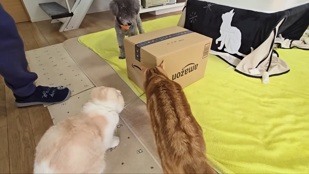 箱の周りに集合