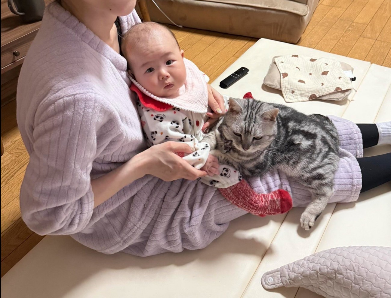膝の上に乗る赤ちゃんと猫