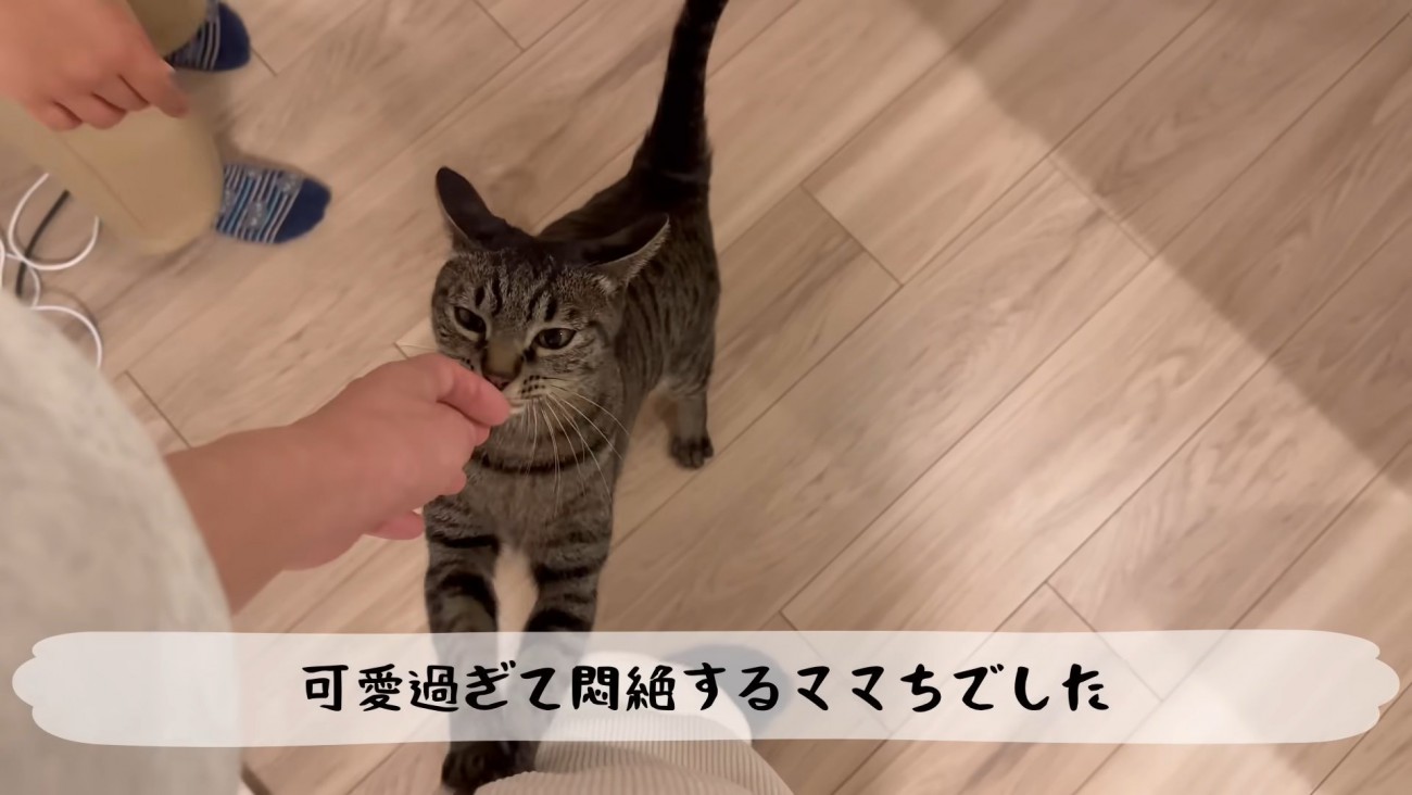 テロップ「可愛過ぎて～」