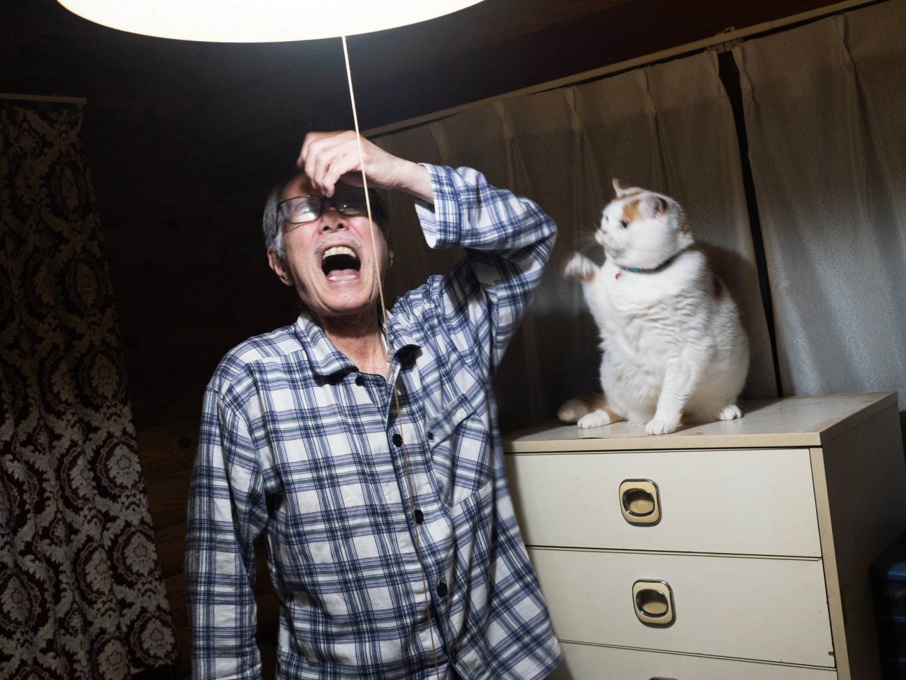 痛がる男性と猫