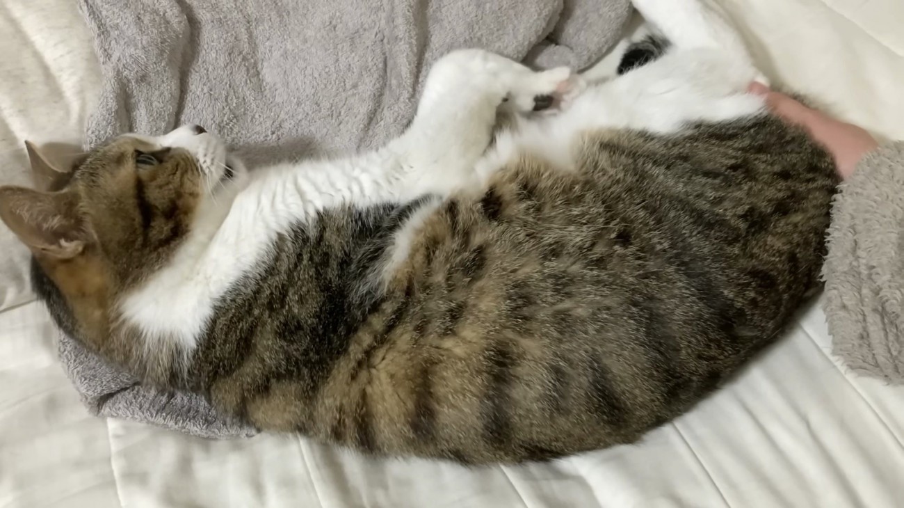 再度満足そうなミックくん