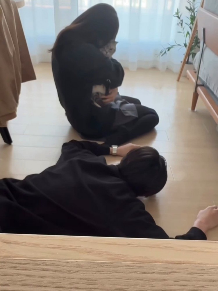 抱っこされる猫