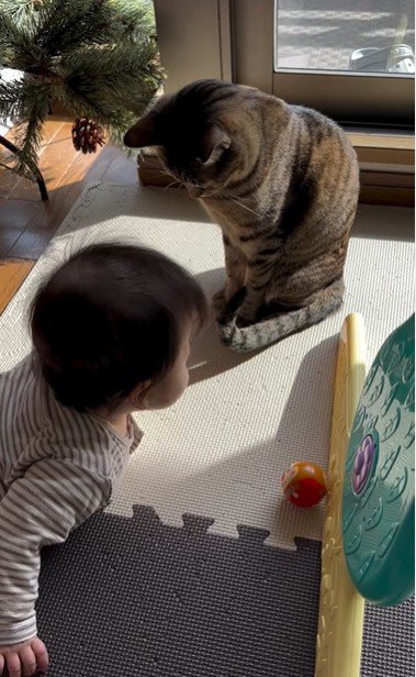 寝そべっている赤ちゃんとそれを見ている猫