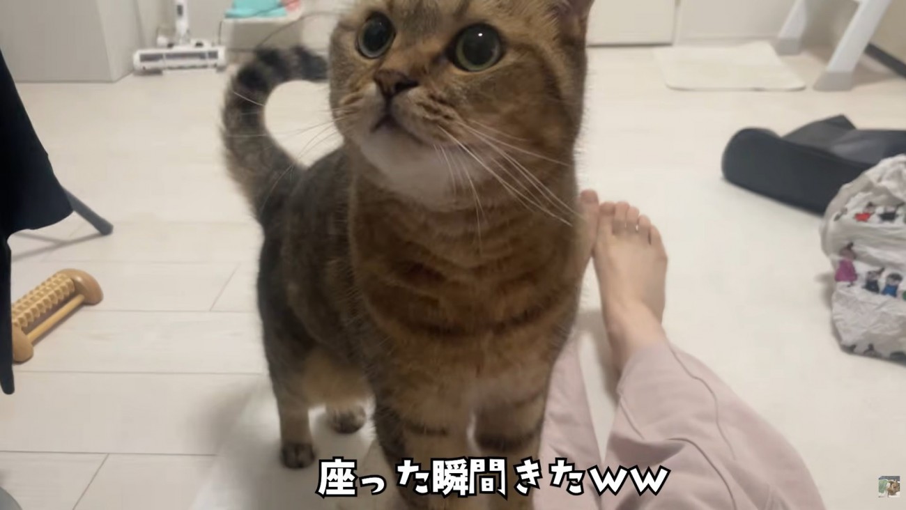 テロップ「座った瞬間きた」