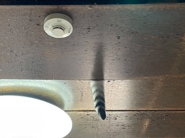 天井の隙間から出ている猫のしっぽ