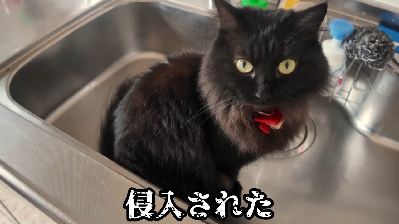 侵入された