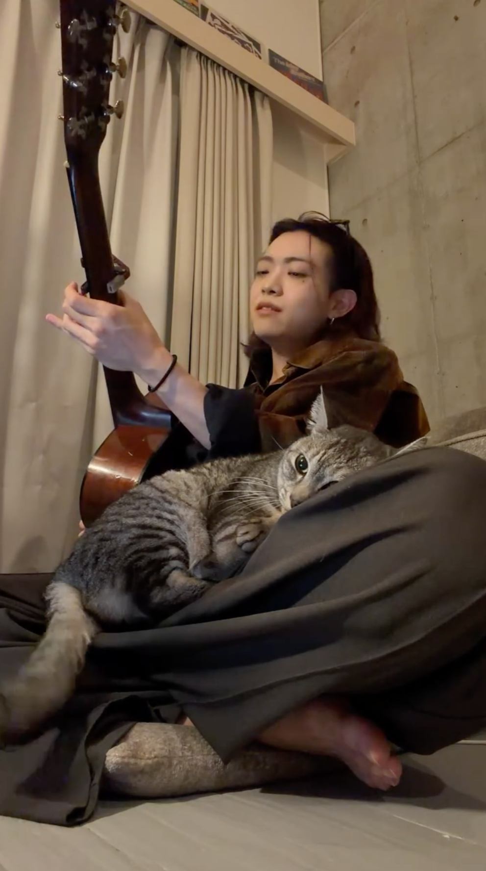 男性の膝の上に寝転がる猫