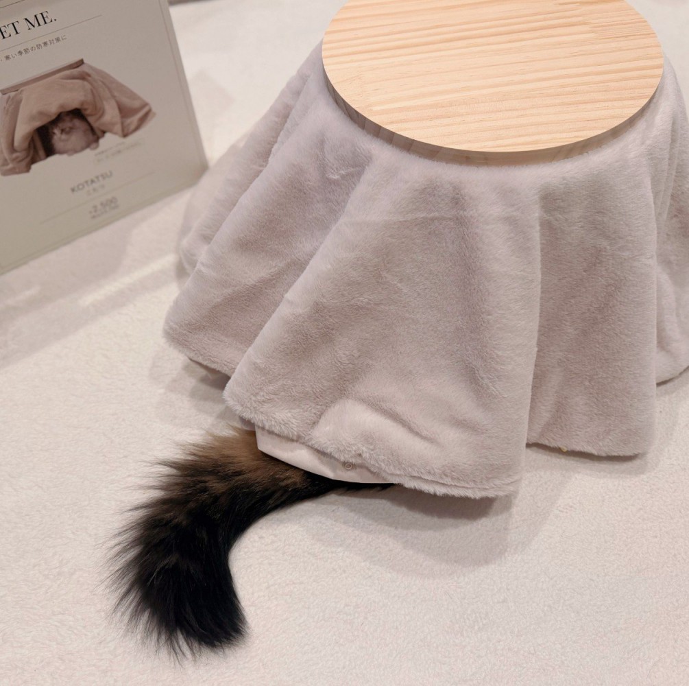 こたつから出る猫のしっぽ