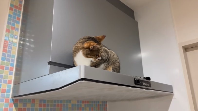 顔を背けて無視