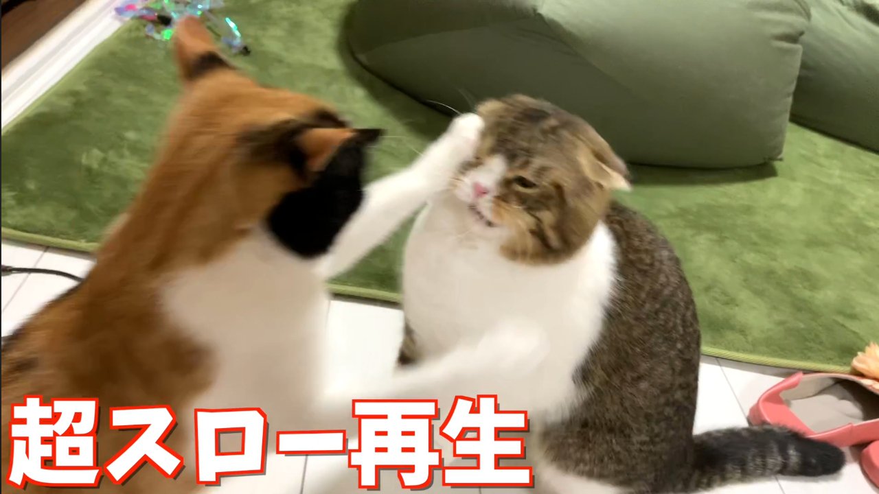 超スロー再生左パンチ