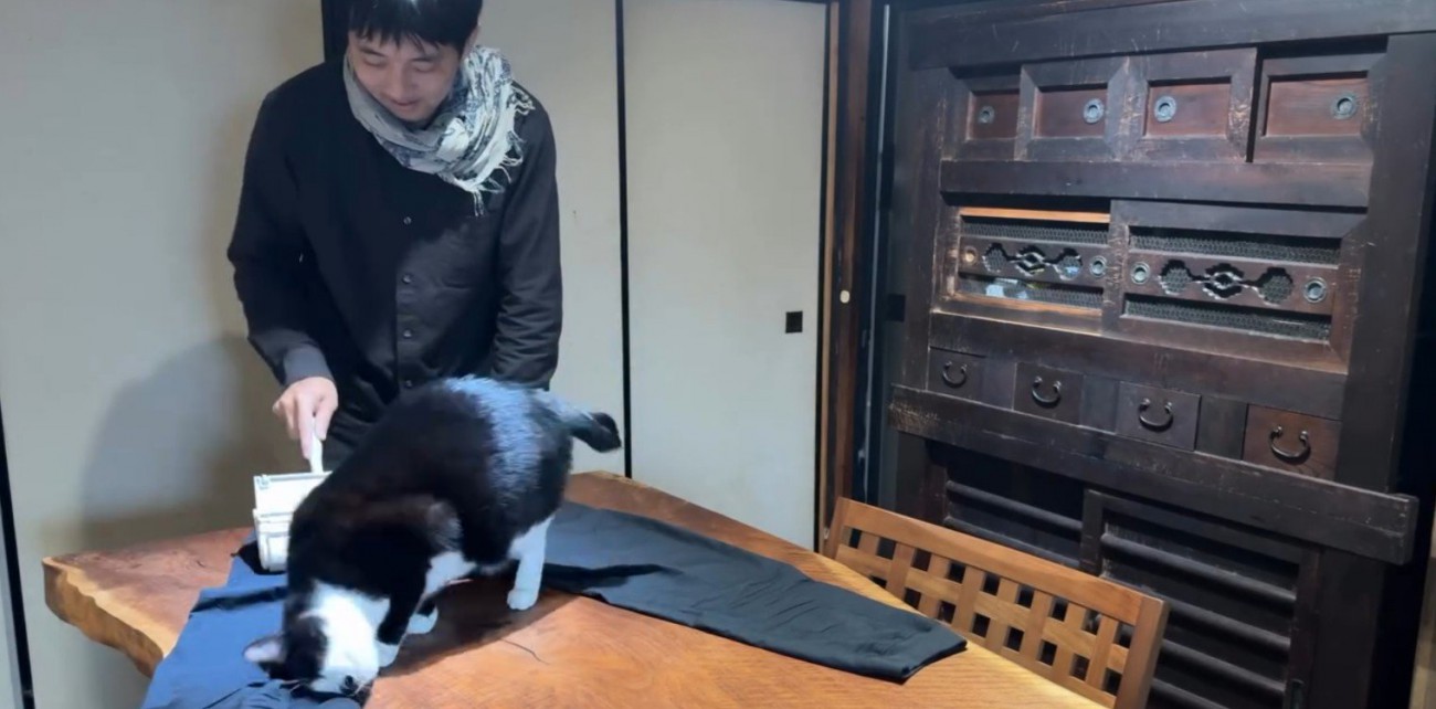 服の毛を取る飼い主と猫