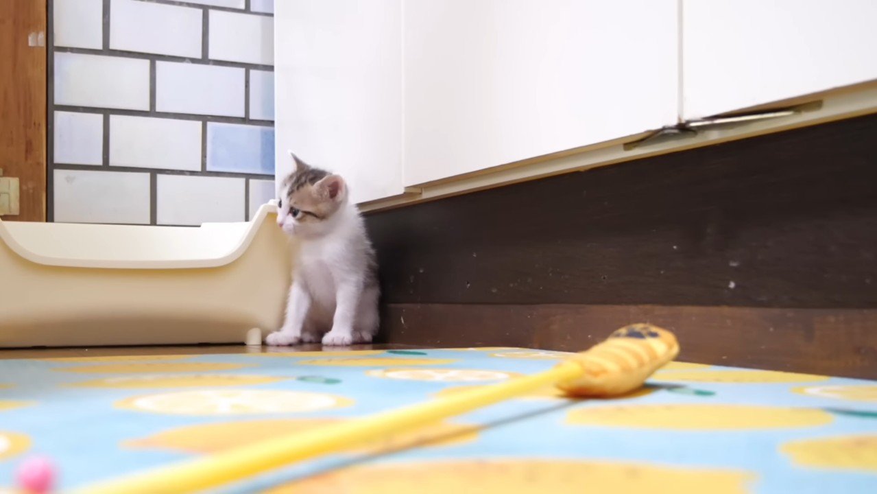 隅に座るハートくん