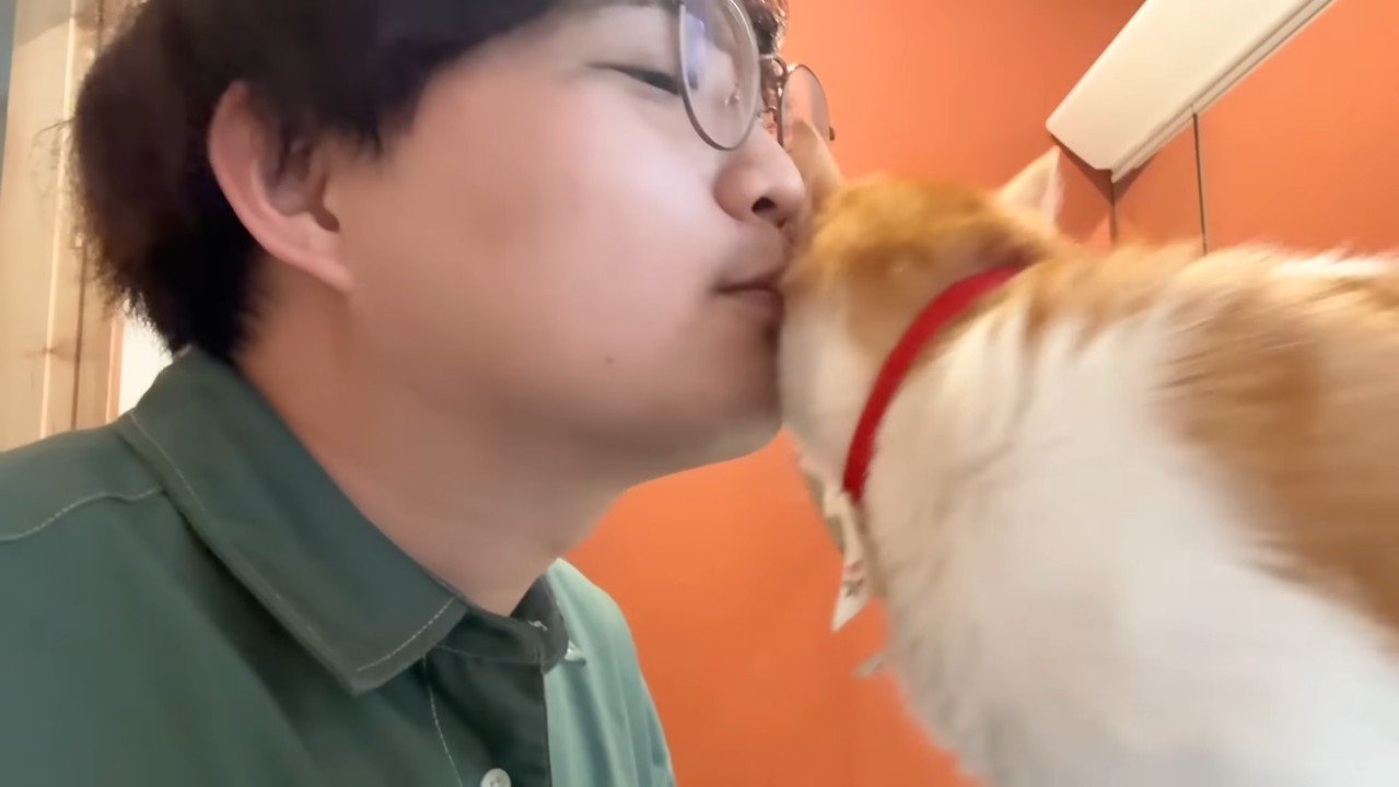 左頬をスリスリ