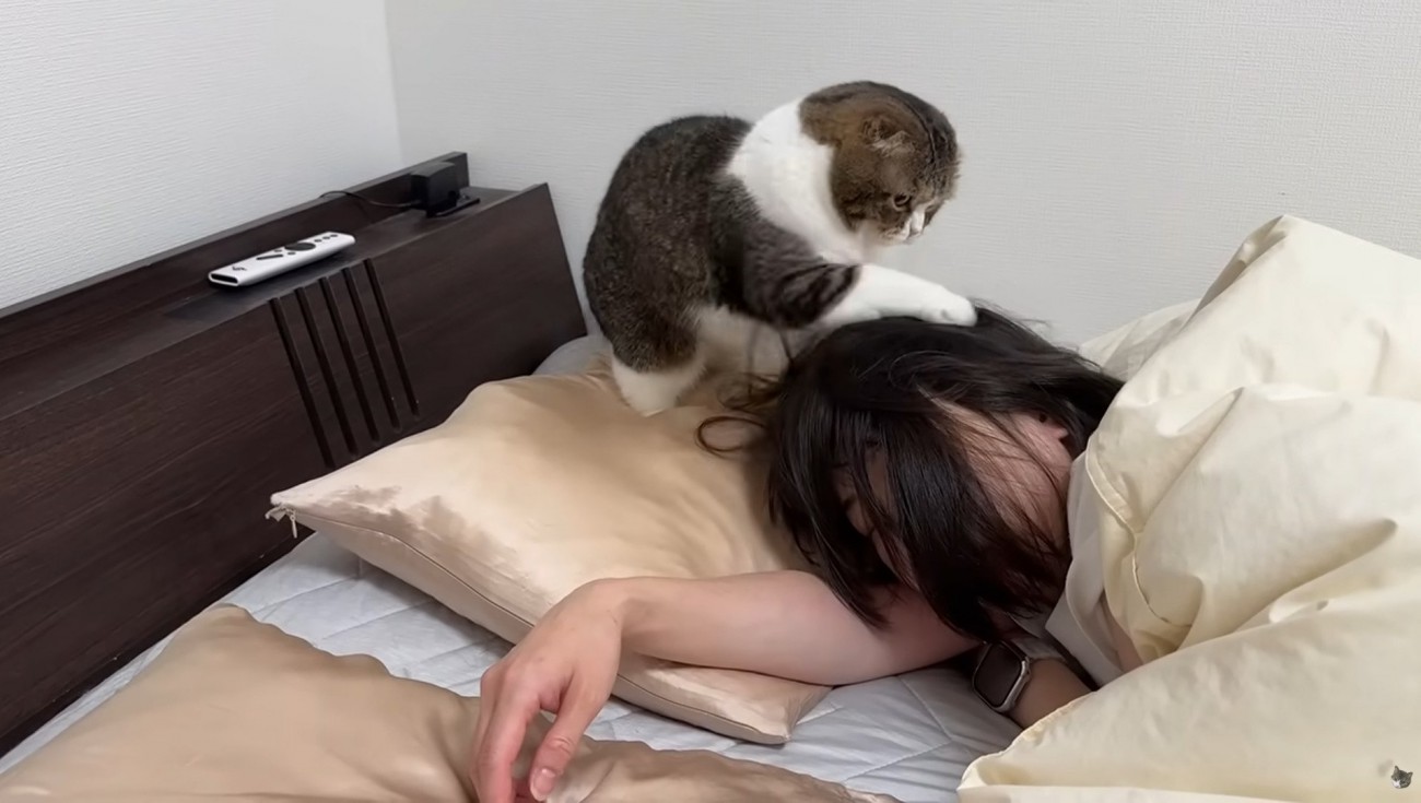 眠っている女性の頭に触れる猫
