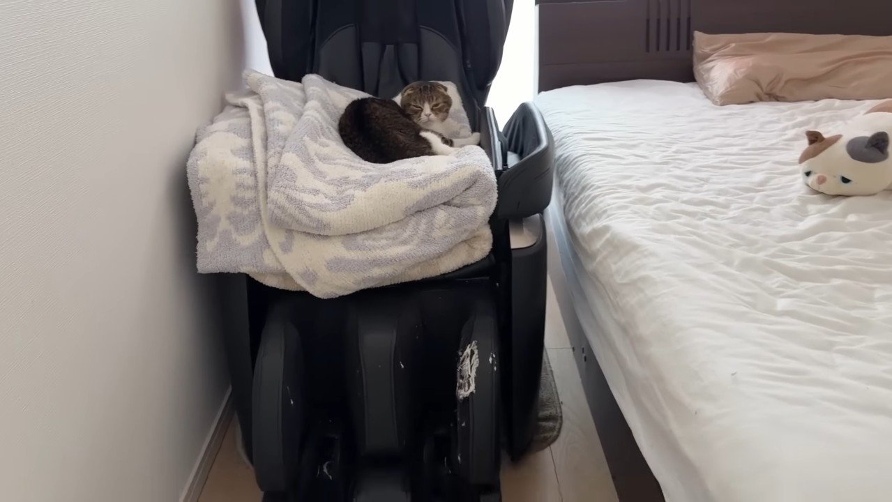 寛ぐぽこ太郎くん